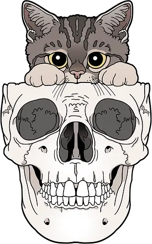 Tabby Kitty & Skull - Tabbykatze, Kätzchen, cute