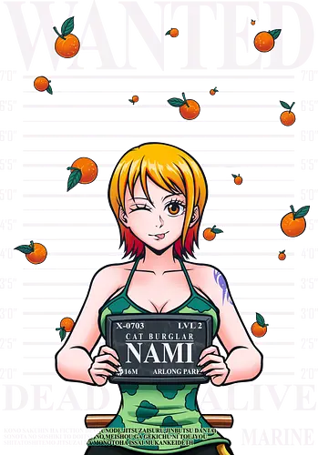 Cat Burglar Arlong Park Mugshot - anime, anime girl, anime tee, manga, wanted, wanted poster, nami, Pirate, straw hat pirates, straw hat crew, cat burglar, mugshot