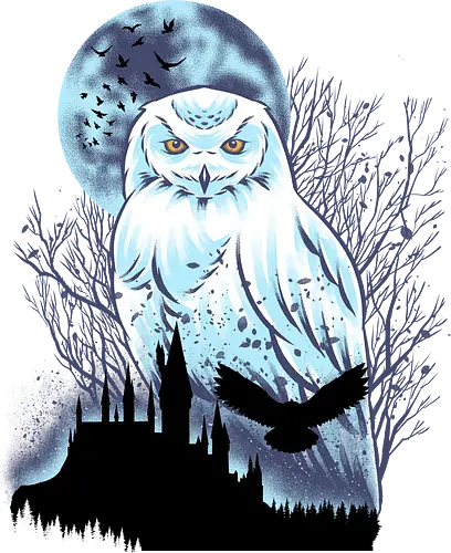 Snowy Owl - Snow, Owl, Winter, Bird