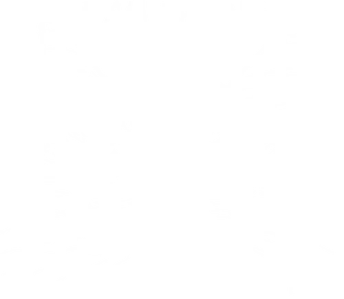 i am trying - animal, cat, humor, funny, trying