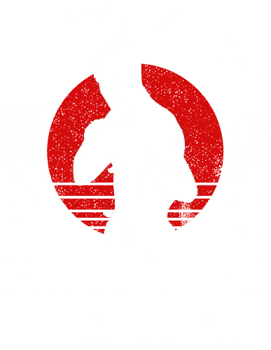 Bruce Leroy Academy  - the last dragon, 1980s, 1985, 80s movies, bruce leroy, comedy, kung fu, last dragon, retro, sho nuff, shogun of harlem, shonuff, sports, ufc, vintage