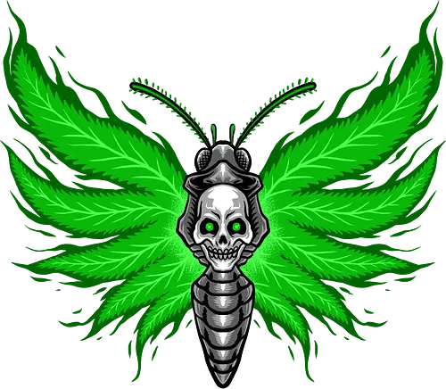 curse moth  - moth, insect, bug, green, marijuana, cannabis, cool, leaf, nature, animal