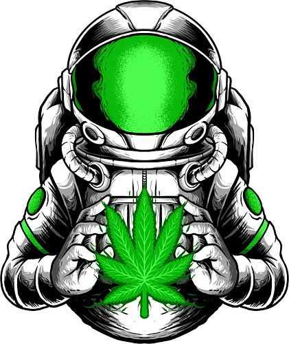 little hope  - cannabis, astronaut, hope, 420, space, galactic, galaxy, cool, leaf, nature