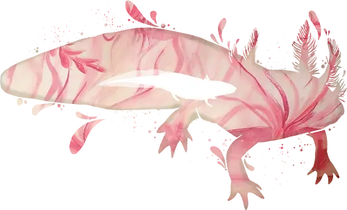 Axolotl Silhouette