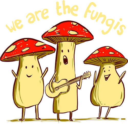 we are fungis - mushrooms, shrooms, funny, music, trippy