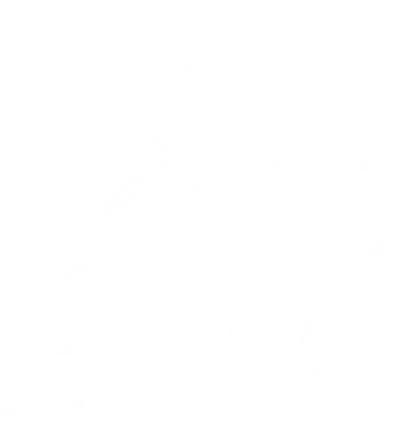 Roll out - star, wars, cute, robot, galaxy, space, movie