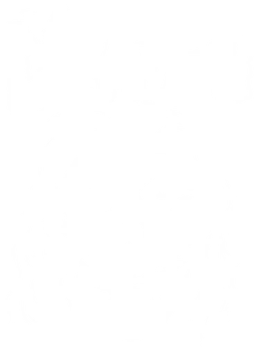 Draven - crow, draven, retro, rock, metal