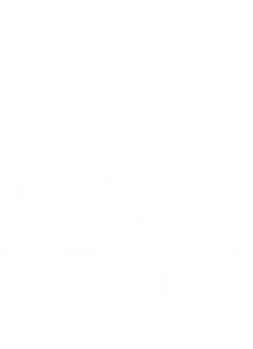 Honk Rock - honk, goose, retro, rock, metal