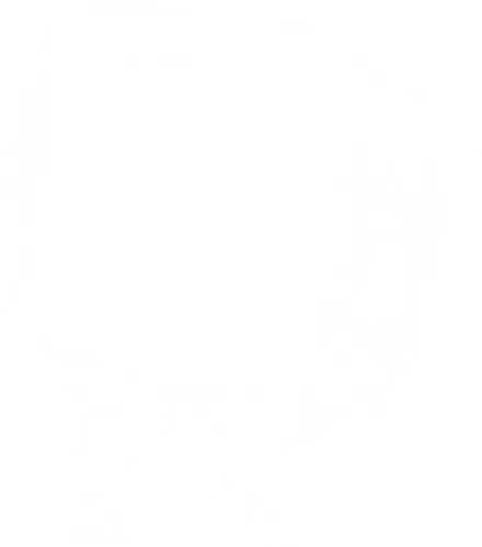 Adopt A Snake - metal gear solid, adopt a pet, snakes, snake, video games, funny, mgs, mgs 2, big boss, cobra, adopt a snake, cardboard box