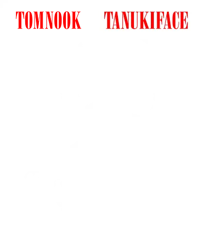 Tanukiface - tanuki, animal, cute, kawaii, scarface