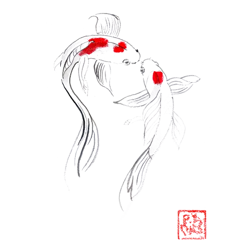 2 koi - koi, carp, sumie, japan, fish