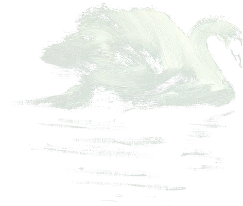 swan - swan, sumie, japan, lake