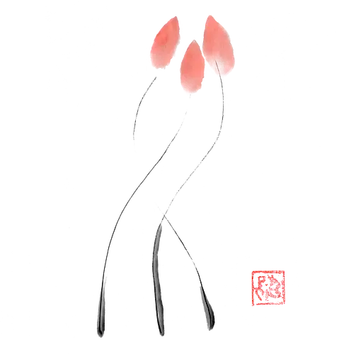 tulip - tulip, flower, sumie, japan