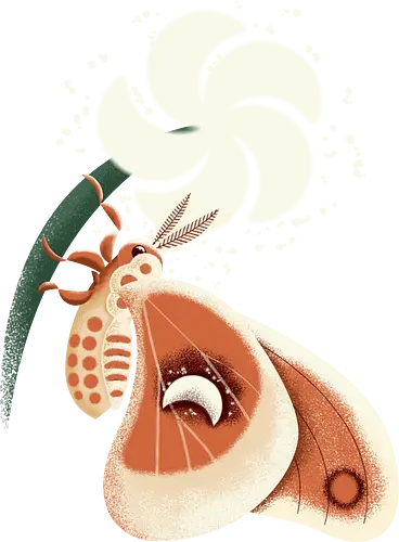 Magischer Nachtschmetterling - Nachtfalter, Schmetterling, butterfly, moth, Mondfinsternis, lunar eclipse, Mond, Nacht, Blume