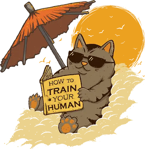 How to Train your Human - cat, summer, CatLogic, neko How to Train your Human - cat, summer, CatLogic, neko