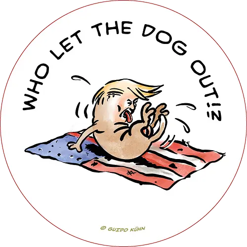 Who let the dog out?