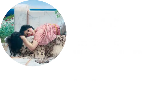 Wählen DARK EDITION