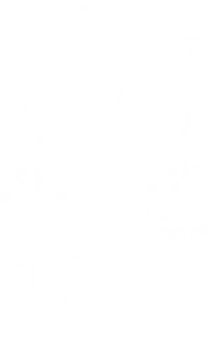 Lace - pharloom, Bug Knight, hollow knight silksong, hollowknight, hornet, lace, the knight, gaming, video games, videogames, indie game, metroidvania, gamer t-shirt
