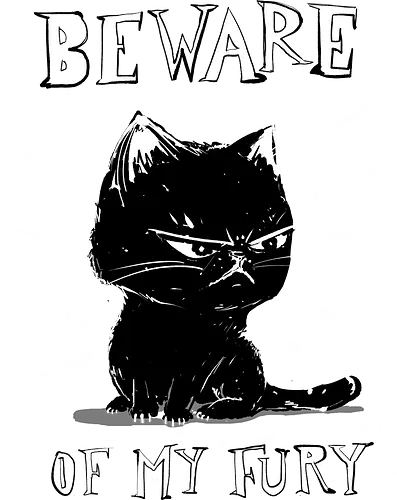 Beware of my fury - cat, grumpy cat, furious cat