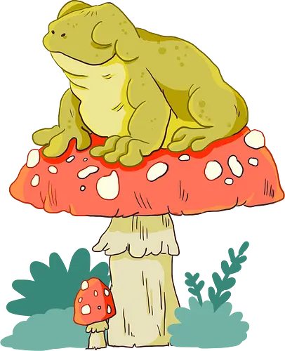 Frosch auf Pilz - Fosch, Pilz, witchy Frosch auf Pilz - Fosch, Pilz, witchy