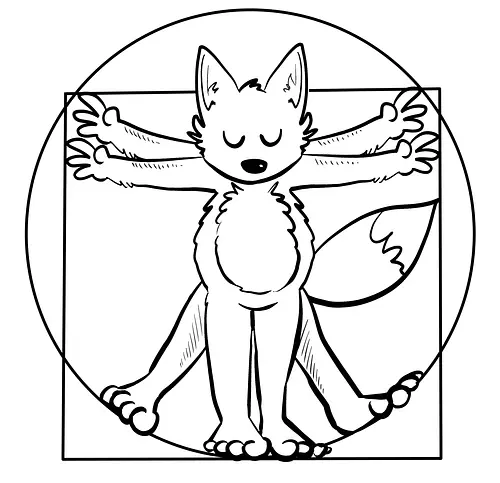 Da Vinci Fuchs weiß - da vinci, fuchs, fox Da Vinci Fuchs weiß - da vinci, fuchs, fox
