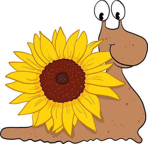 Sonnenblumenschnecke - Sonnenblume, Schnecke