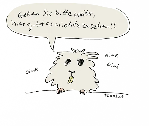 Bitte weitergehen! - Meerschweinchen, Thuni, guinea pig