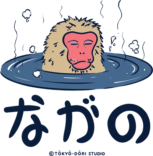 Nagano Relax Monkey - nagano, monkey, japan, japanese, relax, chill, animals