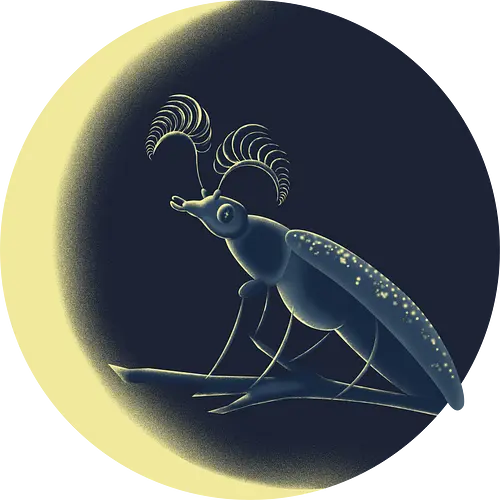 Howling Beetle - Käfer, Beetle, Mond, Crescent, Moon, Howling, den Mond anheulen, mystery, natur, Moonlight, geheimnisvoll