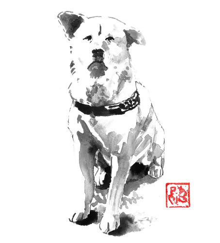 old dog - dog, sumie, japan