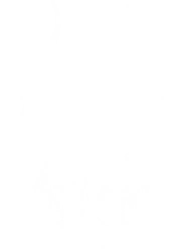 Walküre des Nordens - Wikinger, Pagan, Walküre, Heide, Natur, Viking