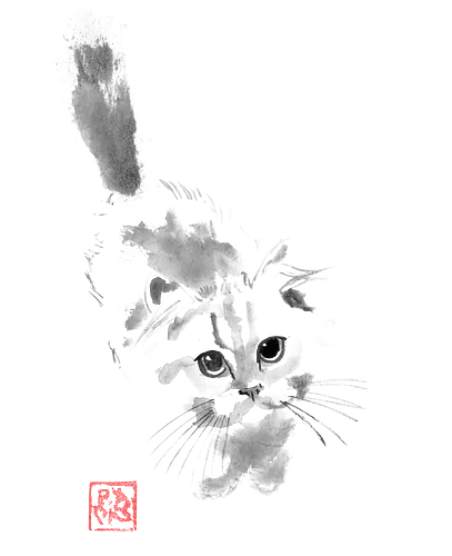 cute fluffy cat - cat, sumie, japan