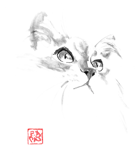 fluffy kitty - cat, sumie, japan