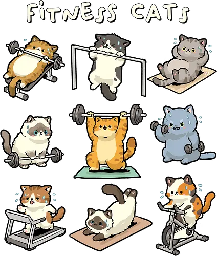 Fitness Cats - cat, bodybuilder, bodybuilding, cats, exercise, fitness, funny cats, gym, kitten, kitty, lifting, powerlifting, weightlifting, workout, yoga