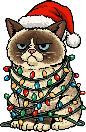 Jolly Christmas Cat - christmas cat, cat, christmas, christmas sweater, festive, funny, happy holidays, holiday, jolly, kitten, kitty, lights, merry christmas, merry xmas, xmas