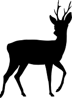 St. Hubertus Tropfen