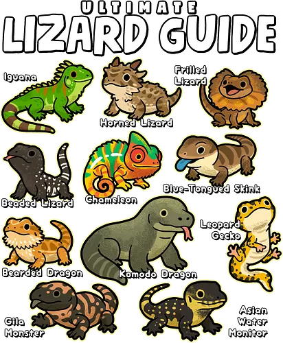Ultimate Lizard Guide - lizard, animal, chameleon, dragon, gecko, guide, herpetology, iguana, kawaii, lizards, pet, pets, reptile, reptiles, wildlife