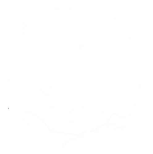 Moonlight Protector - protector, moonlight, moon, hollow, knightgaming, video games, board games, gamers, game night, game controller, retro games, game design