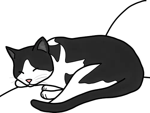 Leska - Katze, Cat, Tier, Haustier, pet, süß, cute, Comic, Cartoon, schwarz, weiß, schlaf, sleep, müde, tired