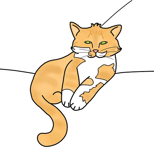 Barnabas - Katze, Cat, Tier, Haustier, pet, süß, cute, Comic, Cartoon, weiß, schlaf, sleep, müde, tired, orange, fuchs, Moustache, Bart