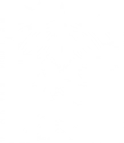 Silk Division - Sherma, silksong, silk song, cute, doom, doom slayer, mash up, Bug Knight