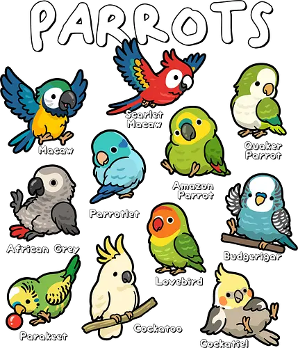 Parrots of the World - parrots, african grey, amazon parrot, bird, birds, budgerigar, cockatiel, cockatoo, lovebird, macaw, parakeet, parrot, parrotlet, quaker parrot, scarlet macaw