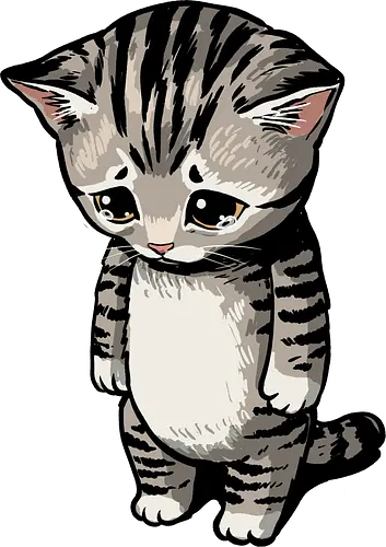 Sad Cat Meme - sad cat, animal, cat lady, cat lover, cat meme, cat mom, cat owner, cats love, catshirt, funny, kitten, kitty, meme, pet, sarcastic