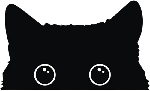 Katzenansicht - Jagen, Hassen, Katze, Schwarz, Tier, Kätzchen, Niedlich, Verstecken, Kitten, Augen, Brennen, Füttern, Ansicht, Töten, Leidenschaftlich, Leidenschaft, Beute