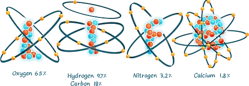 Chemistry Of Life - wissenschaft, science, chemistry, Chemie