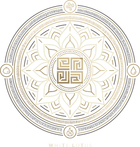 White Lotus Order - white lotus shirt, elemental mandala t-shirt, sacred geometry apparel, air water earth fire graphic, spiritual balance tee, four nations clothing, white lotus order art, mystical script design, fantasy fan gift, zen lotus flower top, ancient runes shirt, gold and cream mandala, symbolic anime apparel, inner peace graphic, secret society t-shirt, geometric lotus design, meditation clothing, elemental bending merch, bohemian fantasy style
