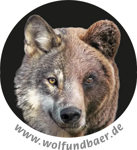 Wolf-Bär-Kopf