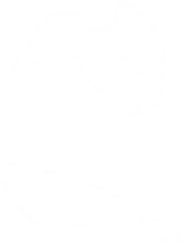 Minimalistisches Panda - Dunkle Silhouette Kunst - panda t-shirt, minimalistische kunst, tier silhouette, dunkle kleidung, doppelbelichtung, teetan, wildlife kunst, panda schutz, sauberes design, kontemplative kunst, wwf symbol, monochrome kunst, natur kunst, schwarz weiß, minimales design