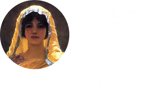 Demokratie IBF DARK EDITION