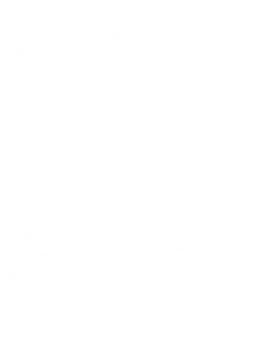 John Cena WrestleMania 17th championship - WRESTLING Tee, graphic shirt, graphic tee, sport bootleg tee, sport fan tee, sport lover gif, ports tee, streetwear, vintage 90s, vintage style, John Cena, John Cena Tee, 17th champion